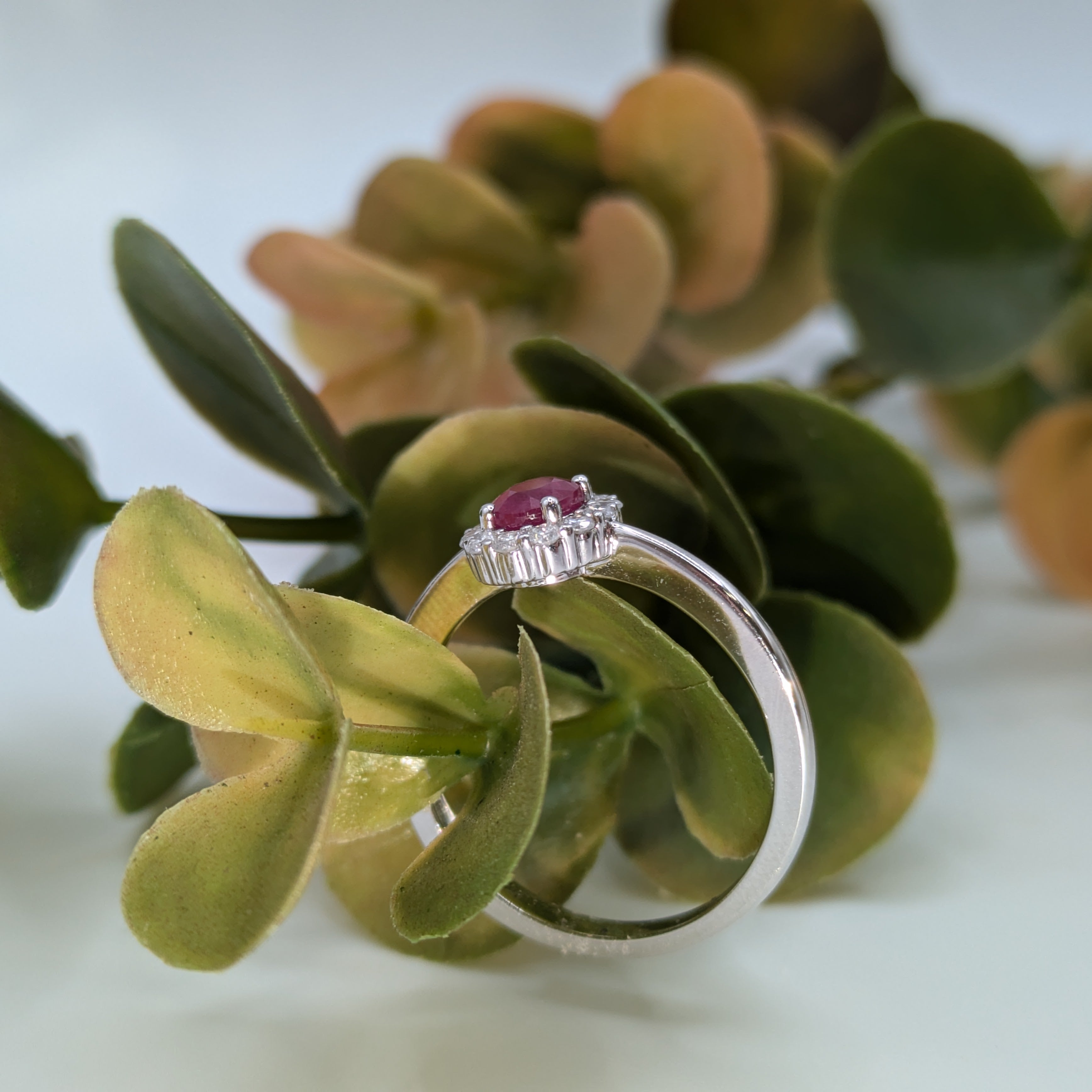 Oval cut ruby in diamond halo on 9k white gold