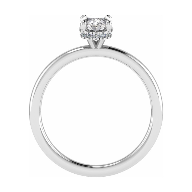 Oval with Hidden Halo